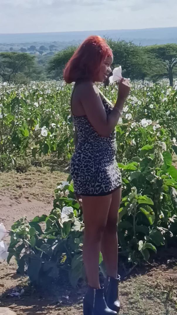 Namanga road trip